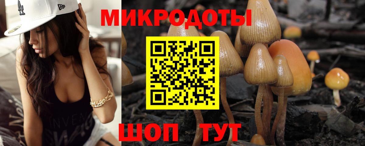 Псилоцибиновые грибы Psilocybe  Вход с VPN  Великий Новгород 