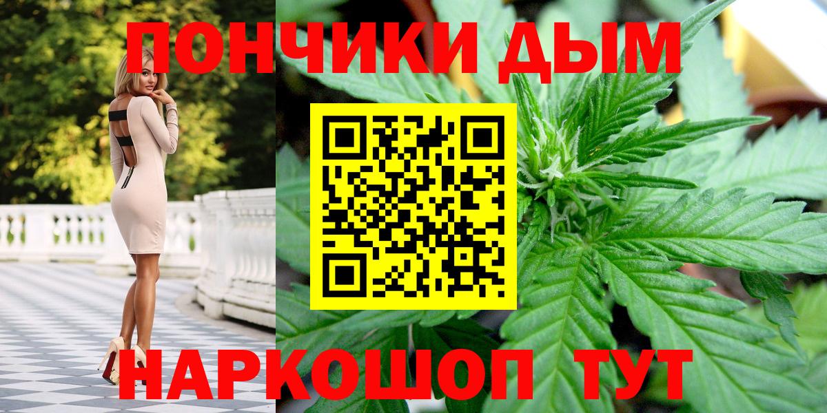 Шишки марихуана сатива Великий Новгород